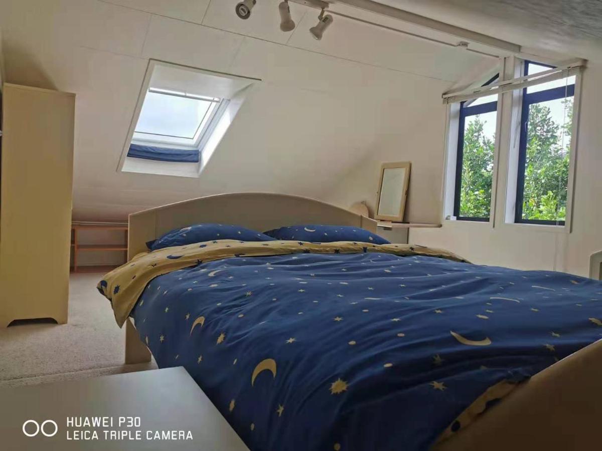 オークランド Red Brick Houseヴィラ エクステリア 写真